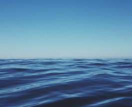 The future – “A sea of Recruiting Ninjas!” according to Paul Thompson