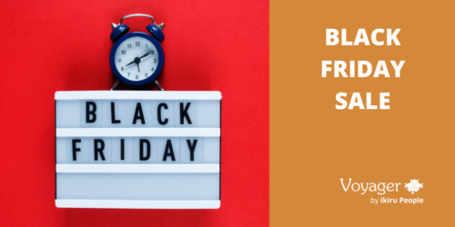Black Friday Sale